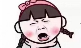 东湖矛盾学生爆料事件视频,校园冲突背后的真相揭露