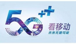 中华网陕西爆料新闻,中华网独家爆料，事件详情引发社会关注